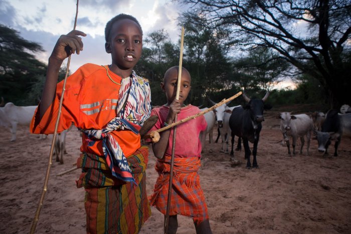 Lchekutis, los niños pastores masai